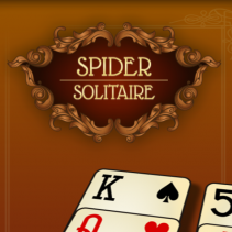 Spider solitaire